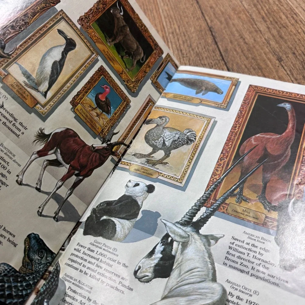 Vintage 90s zoo books magazines- Water damage for junk journals